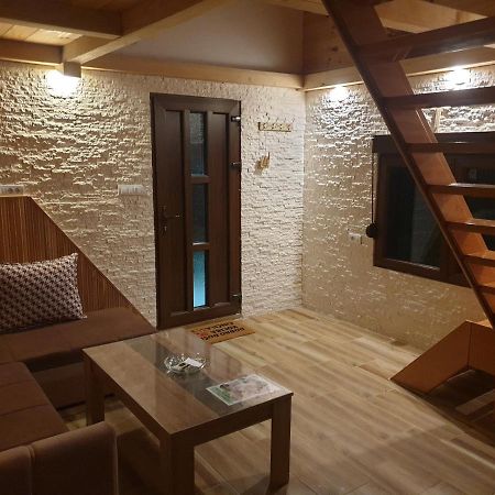 ŽabljakKoliba Cincila别墅 外观 照片